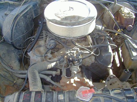 1978 Ford Bronco photo