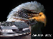 1997 Ford Crown Victoria - The image displays a logo and text indicating that a file could not be found.