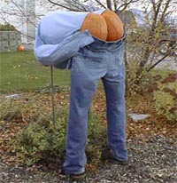 1997 Ford Crown Victoria - Scarecrow with pumpkins in its pants, set in a yard with fall foliage.