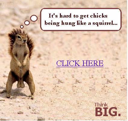 1997 Ford Crown Victoria - A humorous meme a squirrel with a suggestive thought bubble and overlaid text.