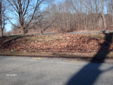 1995 Ford Probe - A winter roadside scene with bare trees and fallen leaves covers the ground.