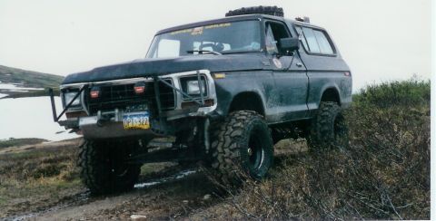 1978 Ford Bronco - Modified 1978 Ford Bronco with large tires and a brush guard sits on an uneven terrain.