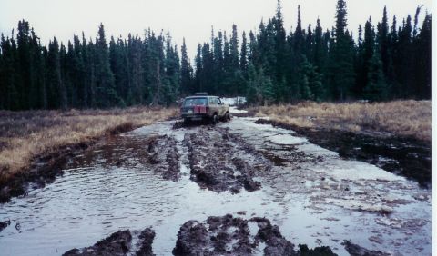 1978 Ford Bronco - An SUV struggles through a muddy, waterlogged path surrounded by dense forest.