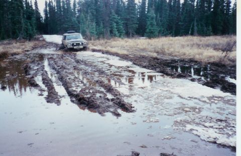 1978 Ford Bronco - This 1978 Ford Bronco tackles a challenging muddy trail surrounded by dense forest.