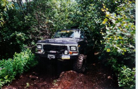 1978 Ford Bronco - A black 1978 Ford Bronco navigates a wooded trail, its front end visible amidst dense foliage.