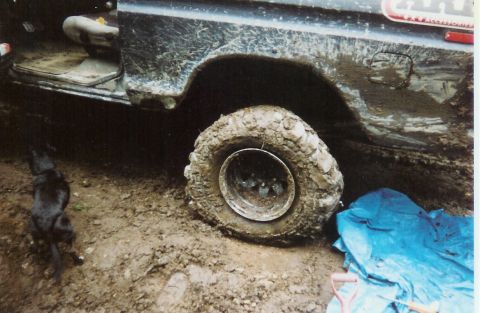 1978 Ford Bronco - A muddy vehicle is stuck in the dirt, with a black dog observing the scene.