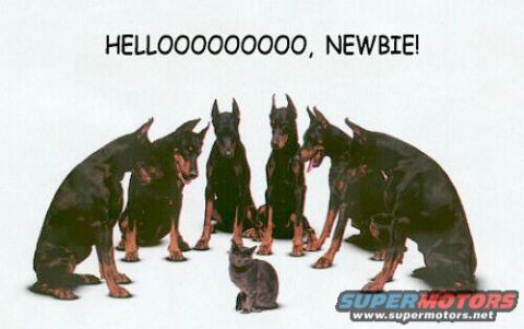 1992 Ford Mustang - A group of dogs appears to be confronting a cat, with text indicating a 'newbie' arrival.