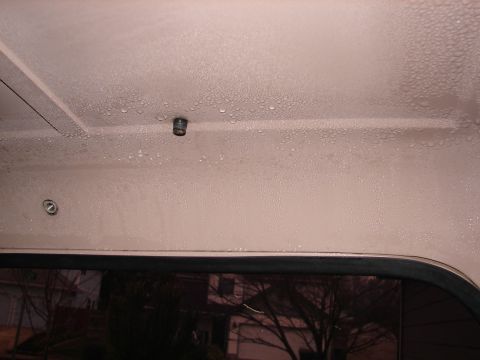 1996 Ford Bronco - Condensation is visible on the interior ceiling of this 1996 Ford Bronco.