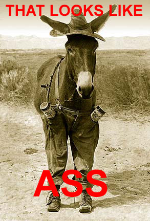 1997 Ford Crown Victoria - A donkey is dressed in a hat and pants, standing in a field.