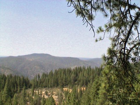 1990 Ford Bronco - A scenic view of rolling hills covered in pine trees under a clear blue sky, with a Supermotors logo visible in the lower right corner.