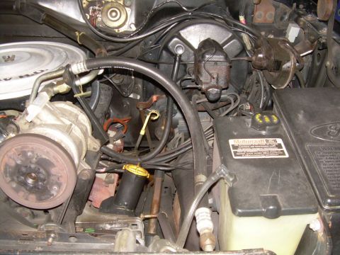 1984 Ford Bronco - The engine bay contains numerous components, including hoses, wires, and a master cylinder, with a visible "Multigard 250" sticker.