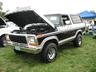 1979 Ford Bronco photo