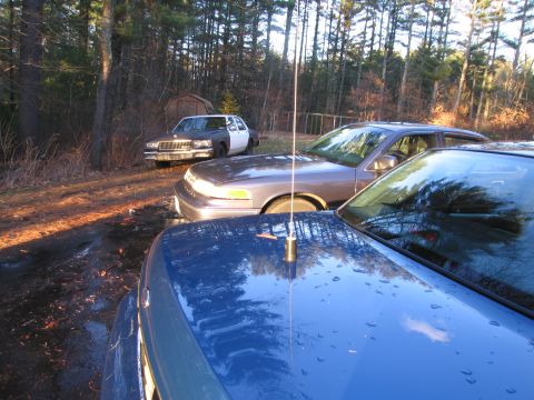 1991 Ford LTD Crown Victoria - Three cars parked in a wooded area on a sunny day.