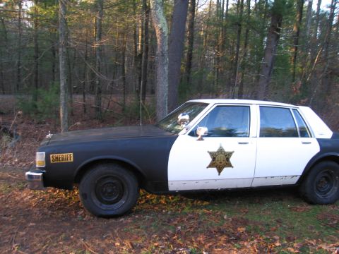 1991 Ford LTD Crown Victoria - Side view of a 1991 Ford Crown Victoria LTD police car with "SHERIFF" markings, parked in a wooded area.