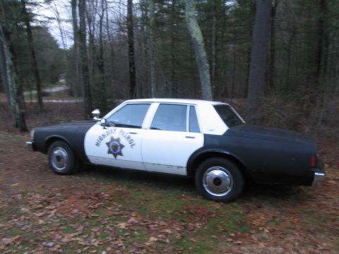1991 Ford LTD Crown Victoria - A two-tone police car sits parked on a wooded area with fallen leaves on the ground.
