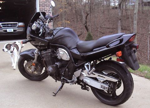 1995 Ford Bronco - A black motorcycle is parked outside a garage where a Ford truck is visible, accompanied by a dog.