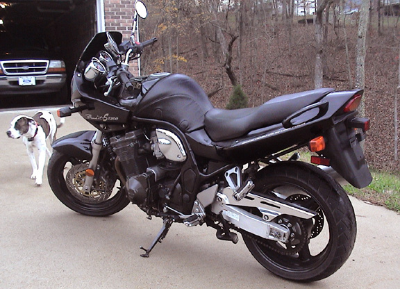 Black motorcycle parked on pavement, with a dog standing nearby and a Ford truck in a garage behind it