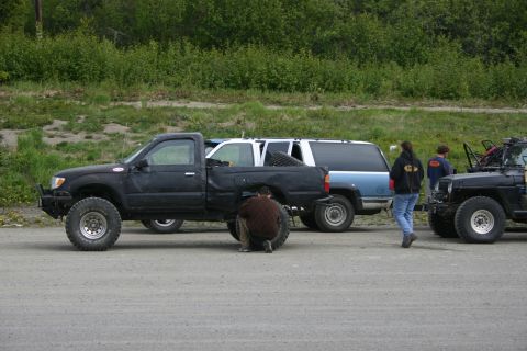 2003 Jeep TJ - Several off-road vehicles are gathered on a gravel lot with a wooded area in the background.