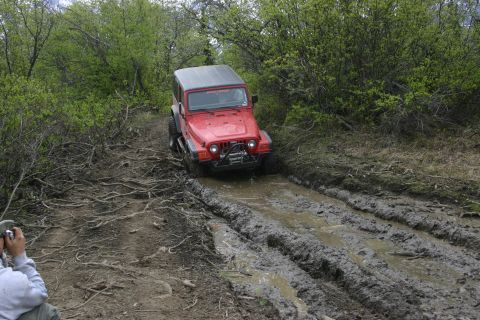 2003 Jeep TJ - A red 2003 Jeep TJ tackles a challenging muddy track surrounded by dense foliage.