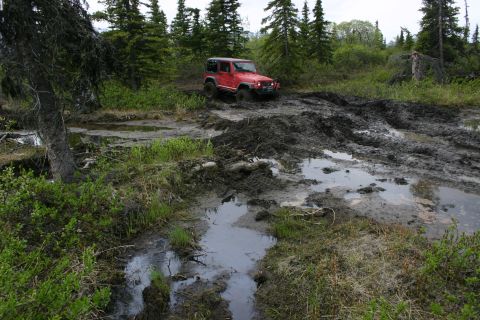2003 Jeep TJ - A red Jeep navigates a challenging muddy terrain with trees and vegetation surrounding the path.