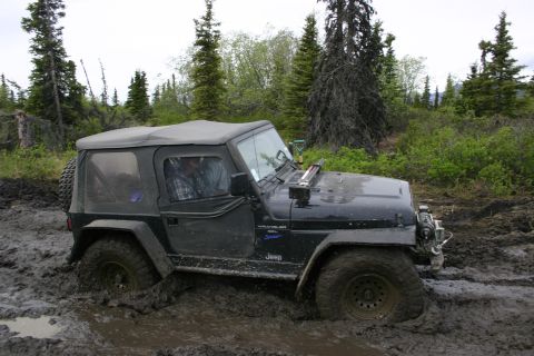 2003 Jeep TJ - A black 2003 Jeep TJ Wrangler is stuck deep in mud, with trees and brush in the background.