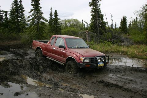 2003 Jeep TJ - Red Toyota Tacoma is stuck in the mud on a trail with trees and brush around.