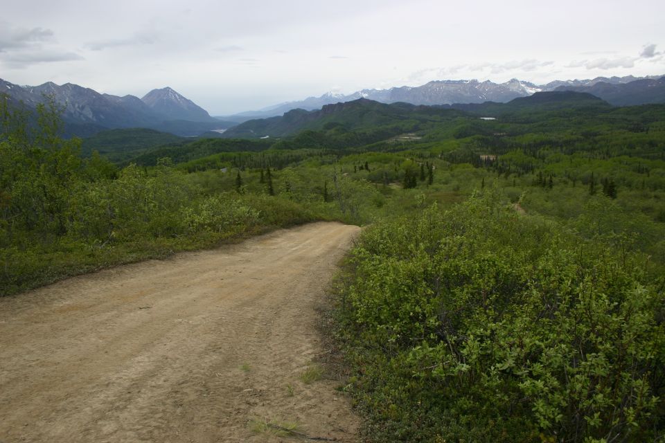 Dirt road curves uphill through green foliage with distant mountains under a cloudy sky