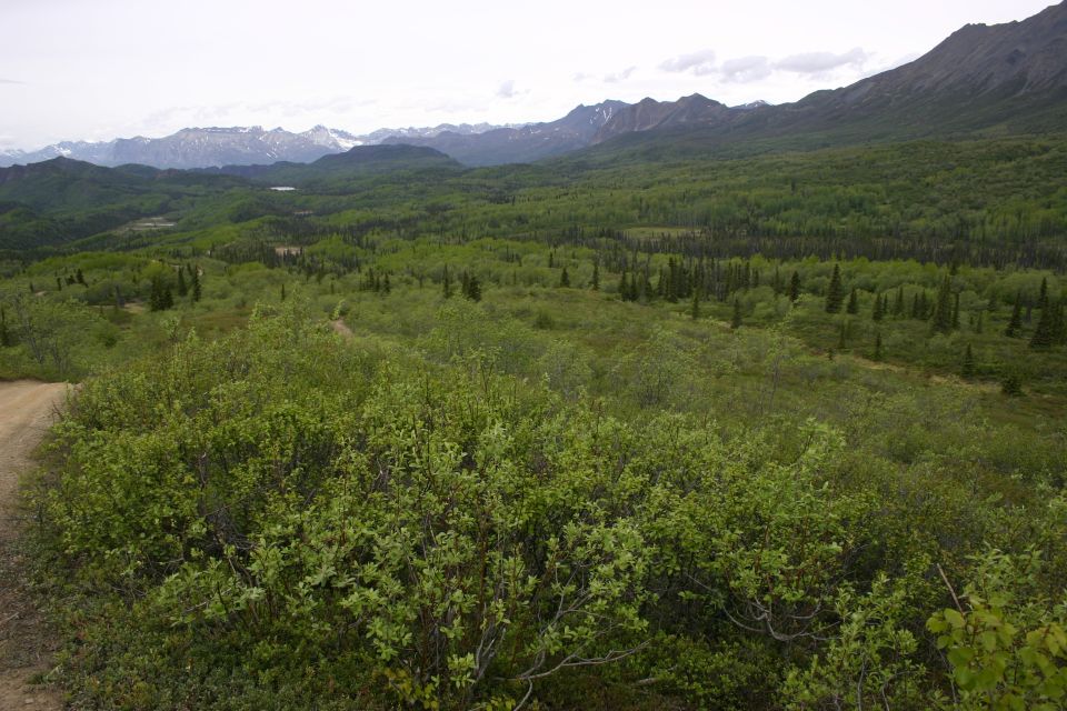 Expansive green valley with mountains in the distance