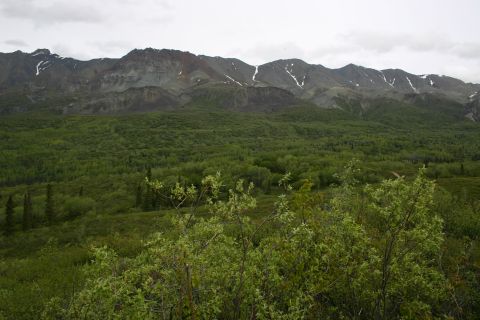 2003 Jeep TJ - A vast mountain landscape under a cloudy sky, with lush green forests covering the lower slopes.