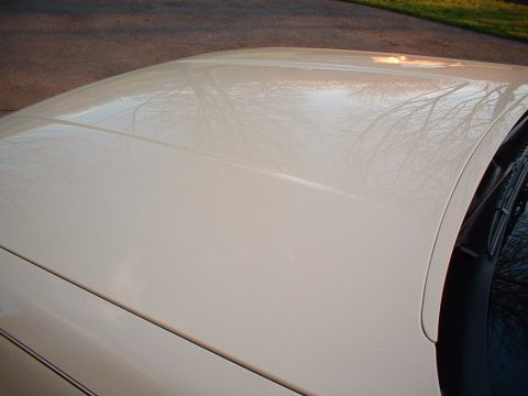 1996 Mercury Grand Marquis - The top of a cream-colored car shows reflections of trees and a windshield wiper.