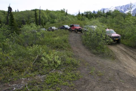 2003 Jeep TJ - Group of Jeeps navigating a trail in a natural landscape with trees and mountains.