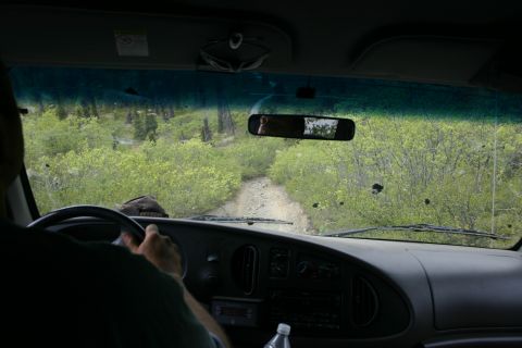 2003 Jeep TJ - Driving a van down a rough dirt path surrounded by lush green trees and bushes.