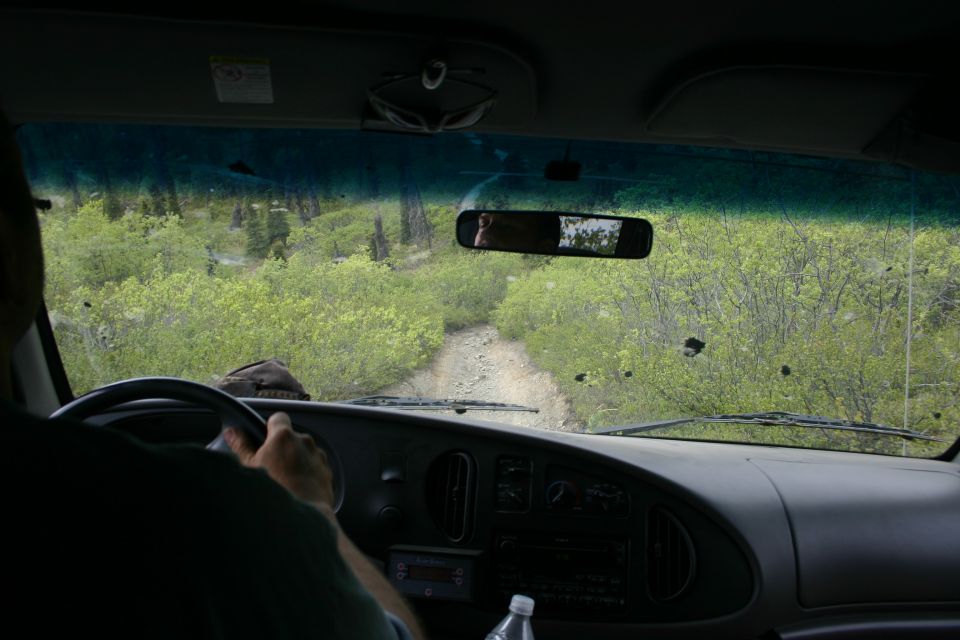 Interior view from a van driving on a dirt road through dense green foliage