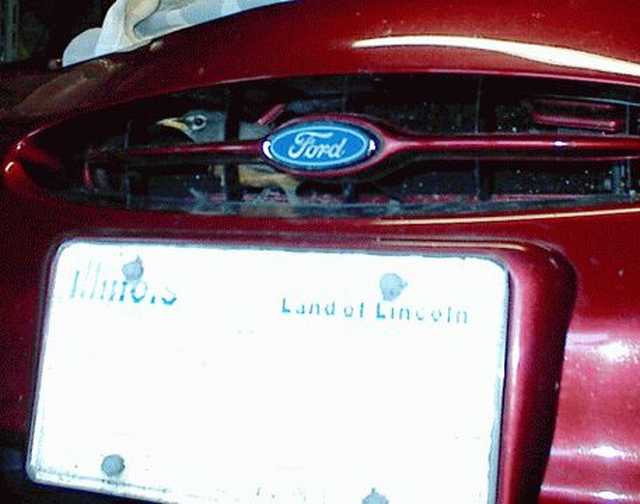 1997 Ford Taurus