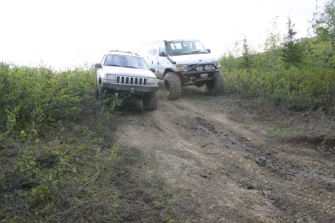 2003 Jeep TJ - Two modified off-road vehicles navigate a challenging dirt track with dense foliage on either side.