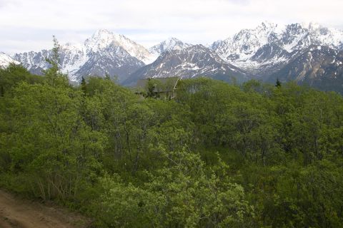 2003 Jeep TJ - A remote cabin is visible amidst lush greenery with a backdrop of snow-covered mountains.