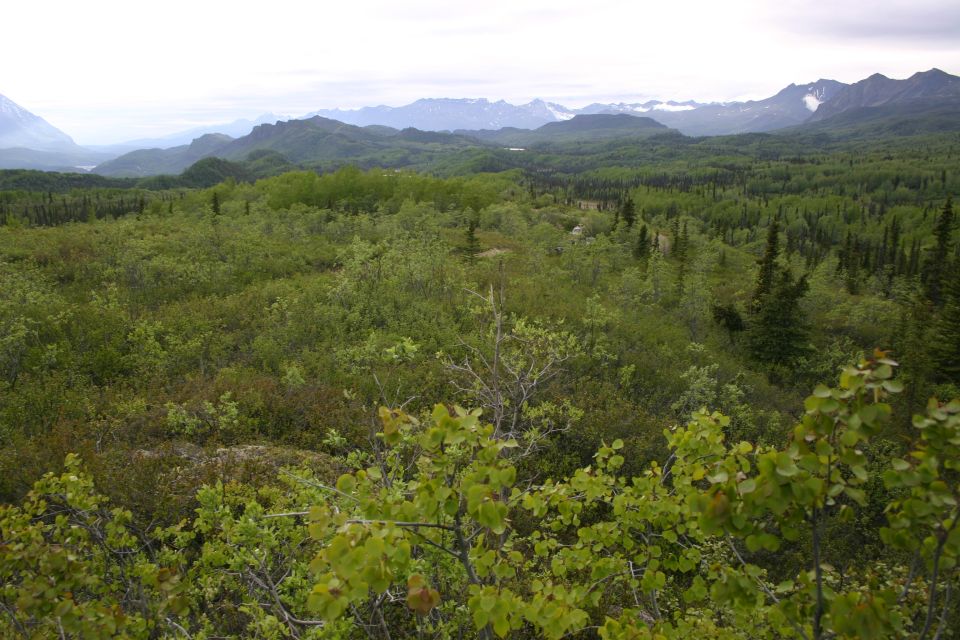 Vast landscape with rolling green hills and distant mountains under a cloudy sky