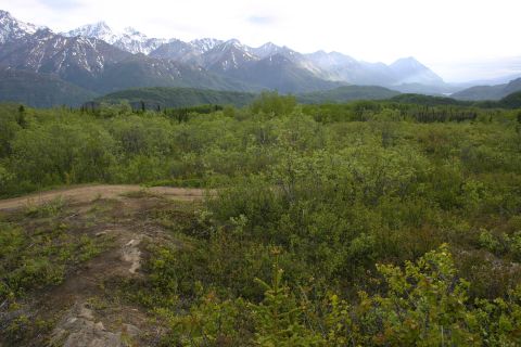2003 Jeep TJ - Expansive view of a mountainous region with lush green foliage and a winding dirt path.