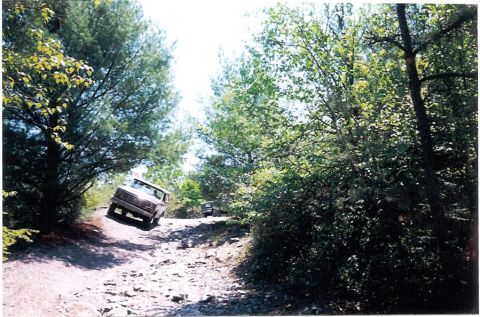 1985 Ford Bronco - Two SUVs navigate a challenging rocky path through a dense forest on a sunny day.
