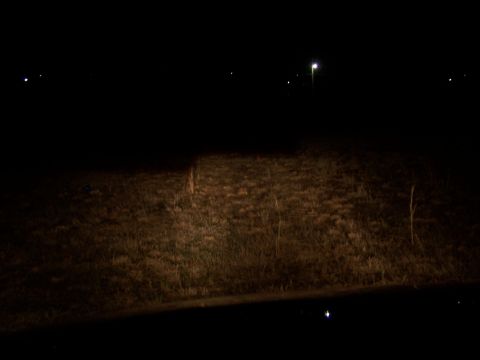 2001 Dodge 1500 - A vehicle's headlights cast a beam across a field of dry grass in the darkness, with the Supermotors.net logo visible at the bottom.