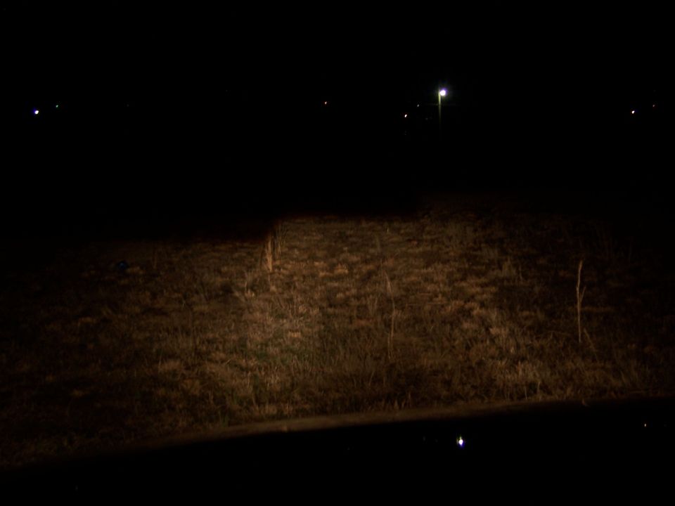 Headlight beam lighting dry grass field at night, dark hood edge in foreground