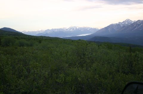 2003 Jeep TJ - A scenic view of snow-capped mountains under a cloudy sky, with lush green foliage in the foreground.