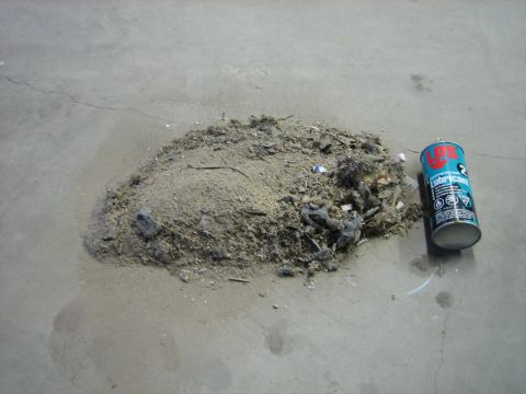 1976 Ford Ranchero - Debris pile and lubricant can on concrete floor.