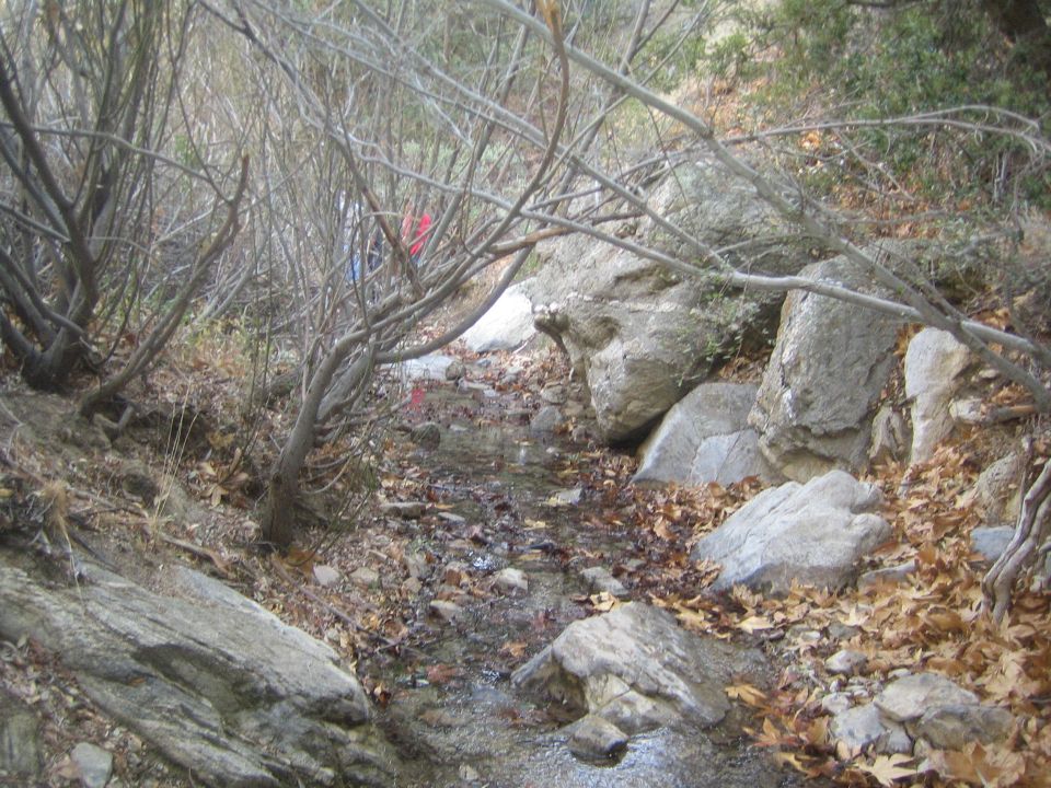 creek bed with rocks and trees, two people in background
