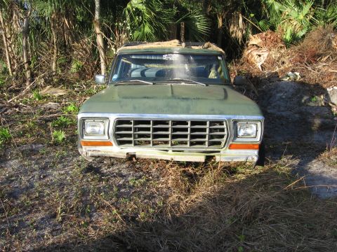 1974 Ford F-100 - This pickup truck appears to be abandoned in a wooded area, with vegetation growing around it.