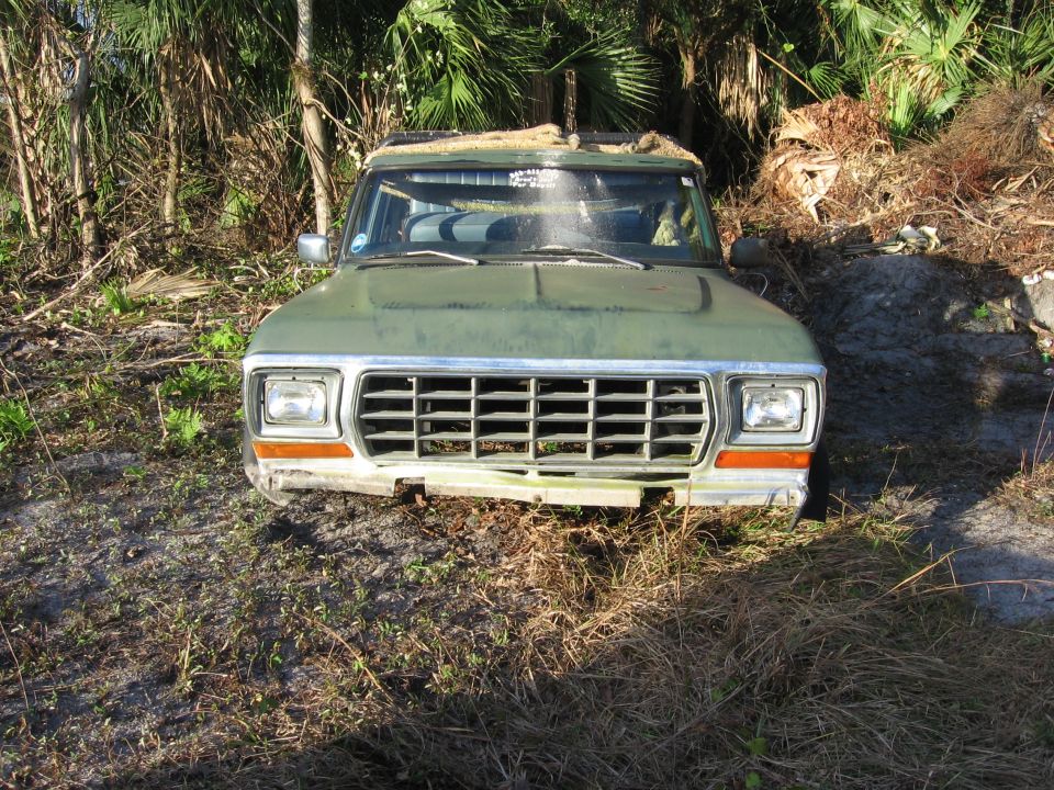 Front view of a green pickup truck parked in overgrown brush. The grille has horizontal bars