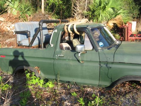 1974 Ford F-100 - This old green pickup truck appears to be a Ford F-100 from the mid-1970s, possibly a 1975 model.