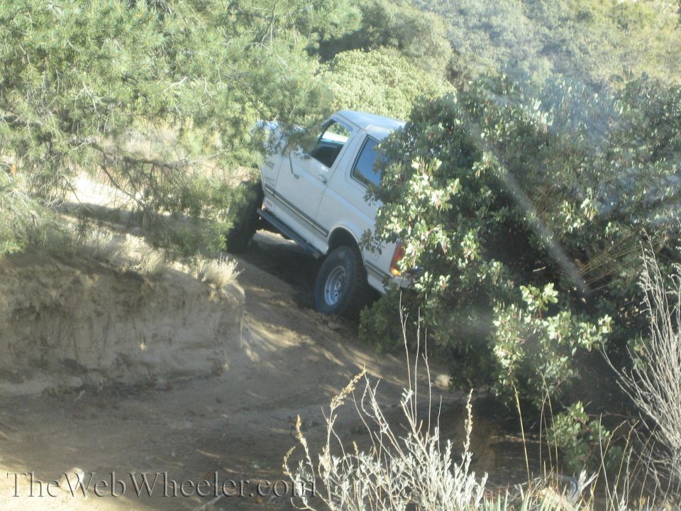 White SUV driving on a dirt trail surrounded by trees. It looks like a Ford Bronco
