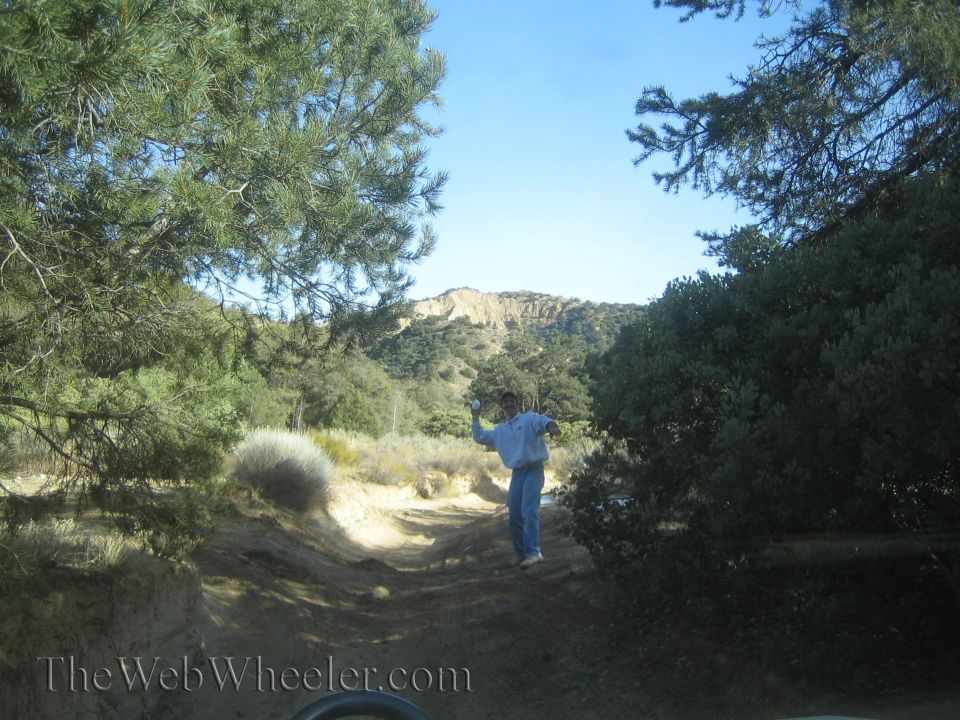 Person standing on a dirt road with trees and hills in the background