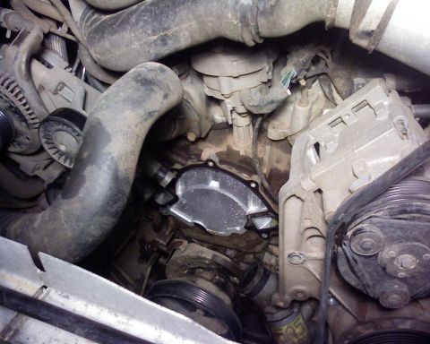 1995 Ford Bronco - Close-up of engine components, including hoses and the water pump area.